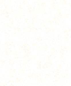 11538 1