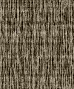 19005 5