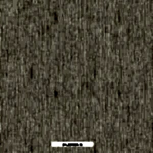 260005 16