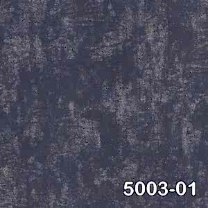 5003 01