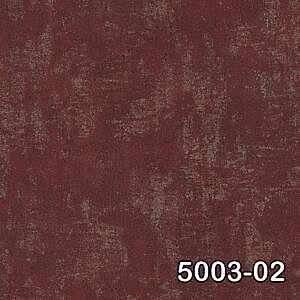 5003 02