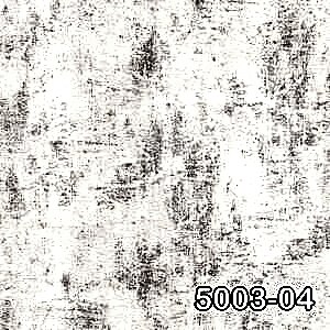 5003 04