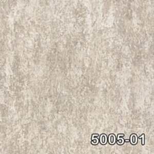 5005 01