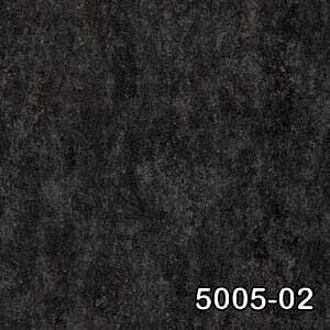 5005 02