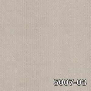 5007 03