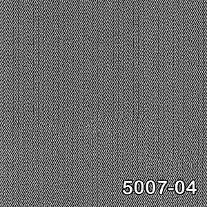 5007 04