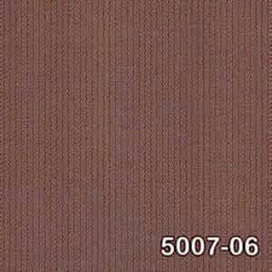 5007 06