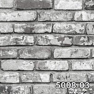 5008 03