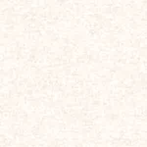 7816 6
